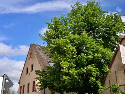 Vorne