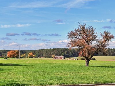 Umgebung